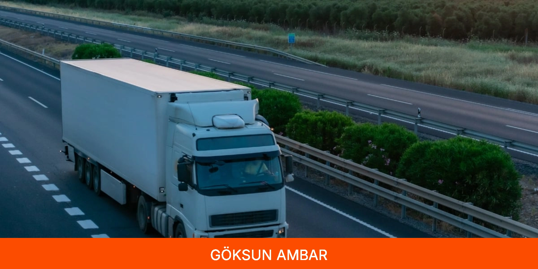 Göksun Ambar